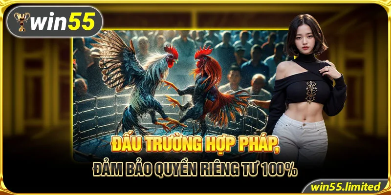 Đấu trường hợp pháp, đảm bảo quyền riêng tư 100% 