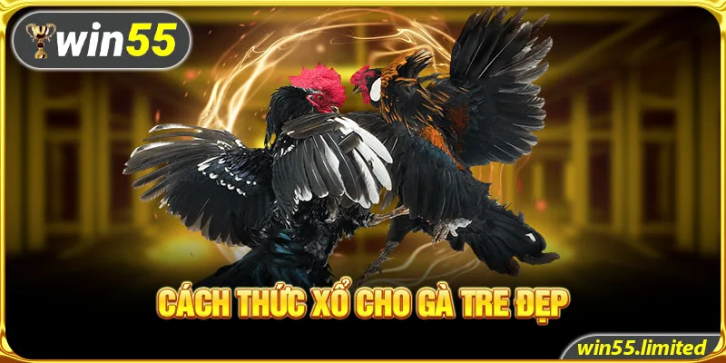 Cách thức xổ cho gà tre đẹp