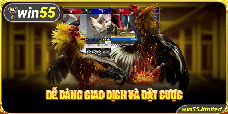 Dễ dàng giao dịch và đặt cược