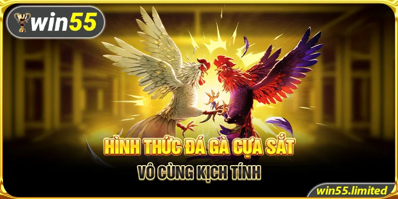 Hình thức đá gà cựa sắt vô cùng kịch tính