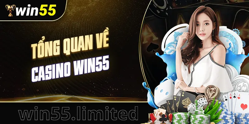 Tổng quan về Casino Win55