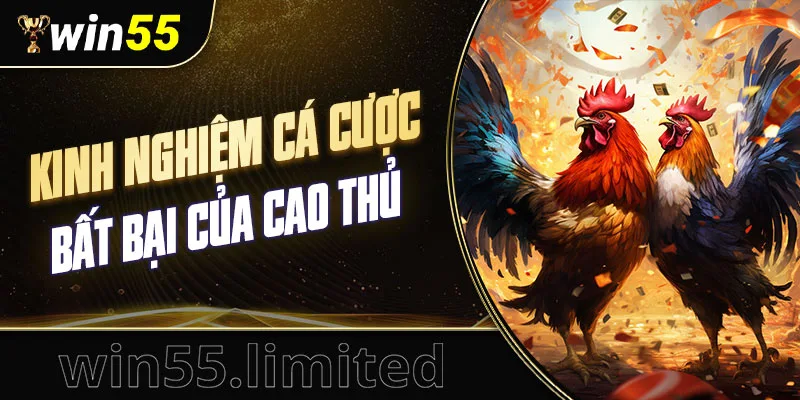 Kinh nghiệm cá cược bất bại của cao thủ