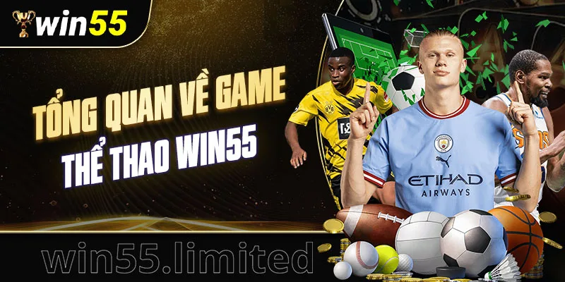 Tổng quan về game thể thao Win55